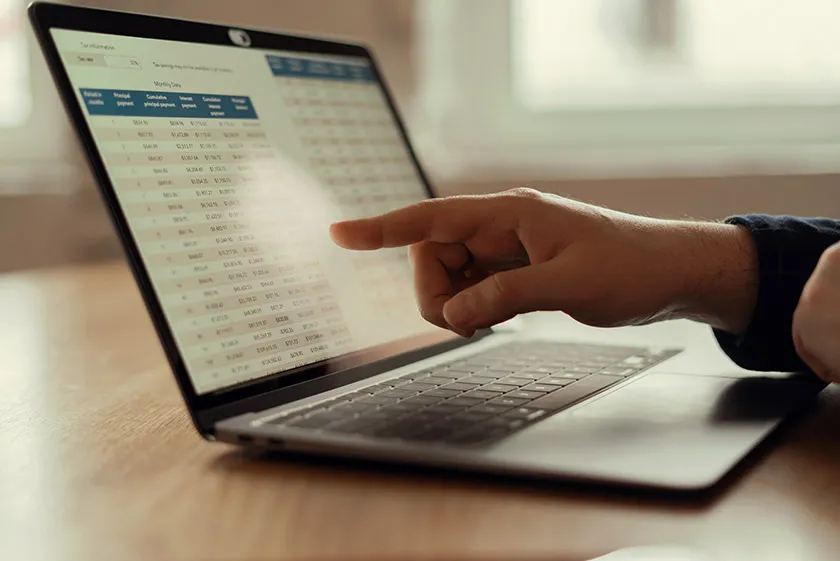 Monthly Accounting – Business Stability Insight